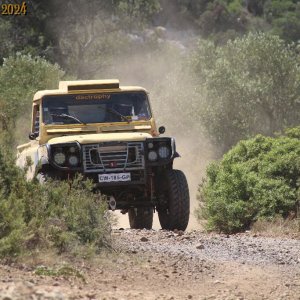 IMG_3984.jpg