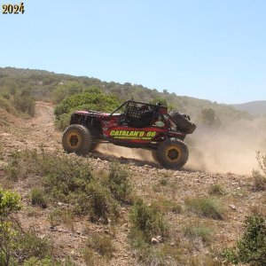 IMG_4016.jpg