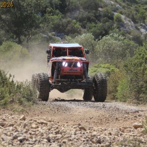 IMG_4024.jpg