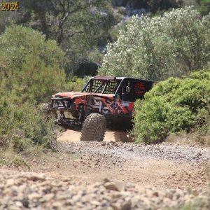 IMG_4037.jpg