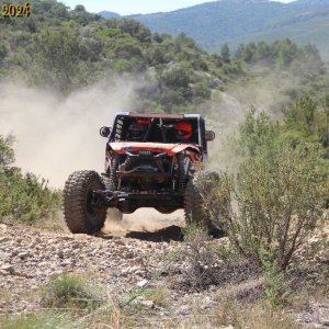 IMG_4040.jpg