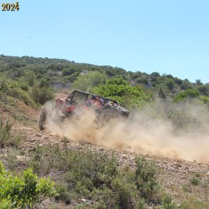 IMG_4042.jpg