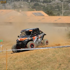 IMG_4131.jpg