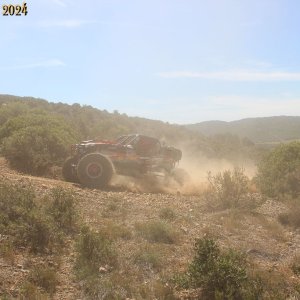 IMG_4166.jpg