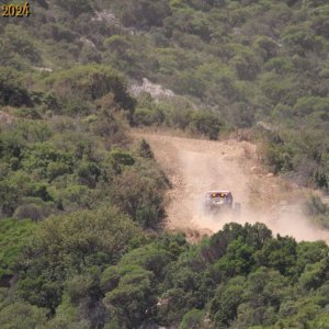 IMG_4343.jpg