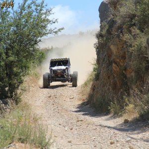 IMG_4372.jpg