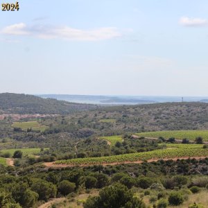 IMG_4517.jpg