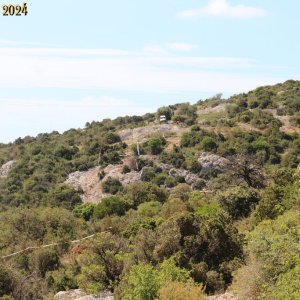 IMG_4520.jpg