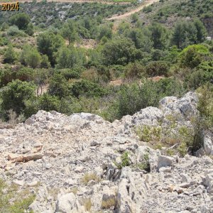 IMG_4521.jpg