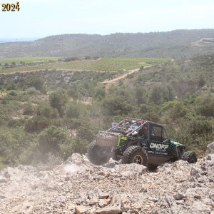 IMG_4524.jpg