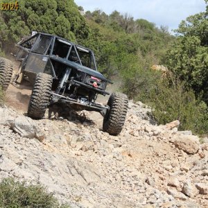 IMG_4533.jpg