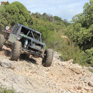 IMG_4543.jpg