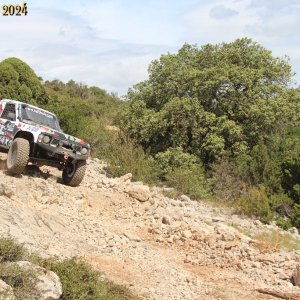 IMG_4554.jpg