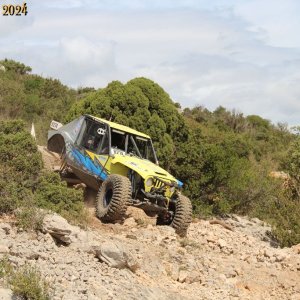 IMG_4559.jpg