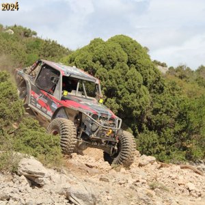 IMG_4563.jpg