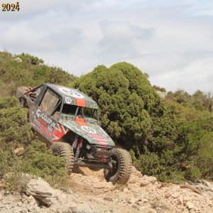 IMG_4567.jpg