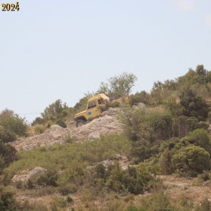 IMG_4649.jpg