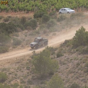 IMG_4657.jpg