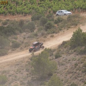 IMG_4661.jpg