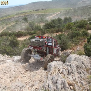 IMG_4665.jpg