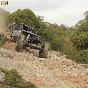 IMG_4684.jpg
