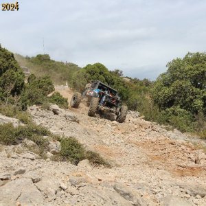 IMG_4695.jpg