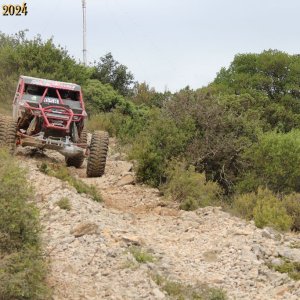 IMG_4772.jpg
