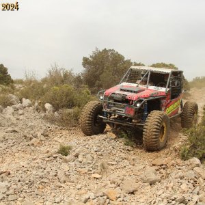 IMG_4798.jpg