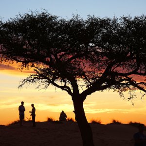 127 NAMIBIE.JPG