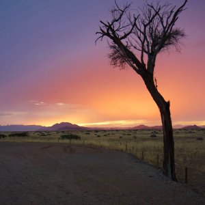 130 NAMIBIE.JPG