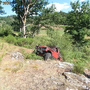 IMG_8894.webp