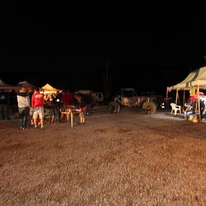 IMG_4568