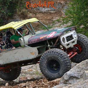 DSC_0077_Rasso 2018