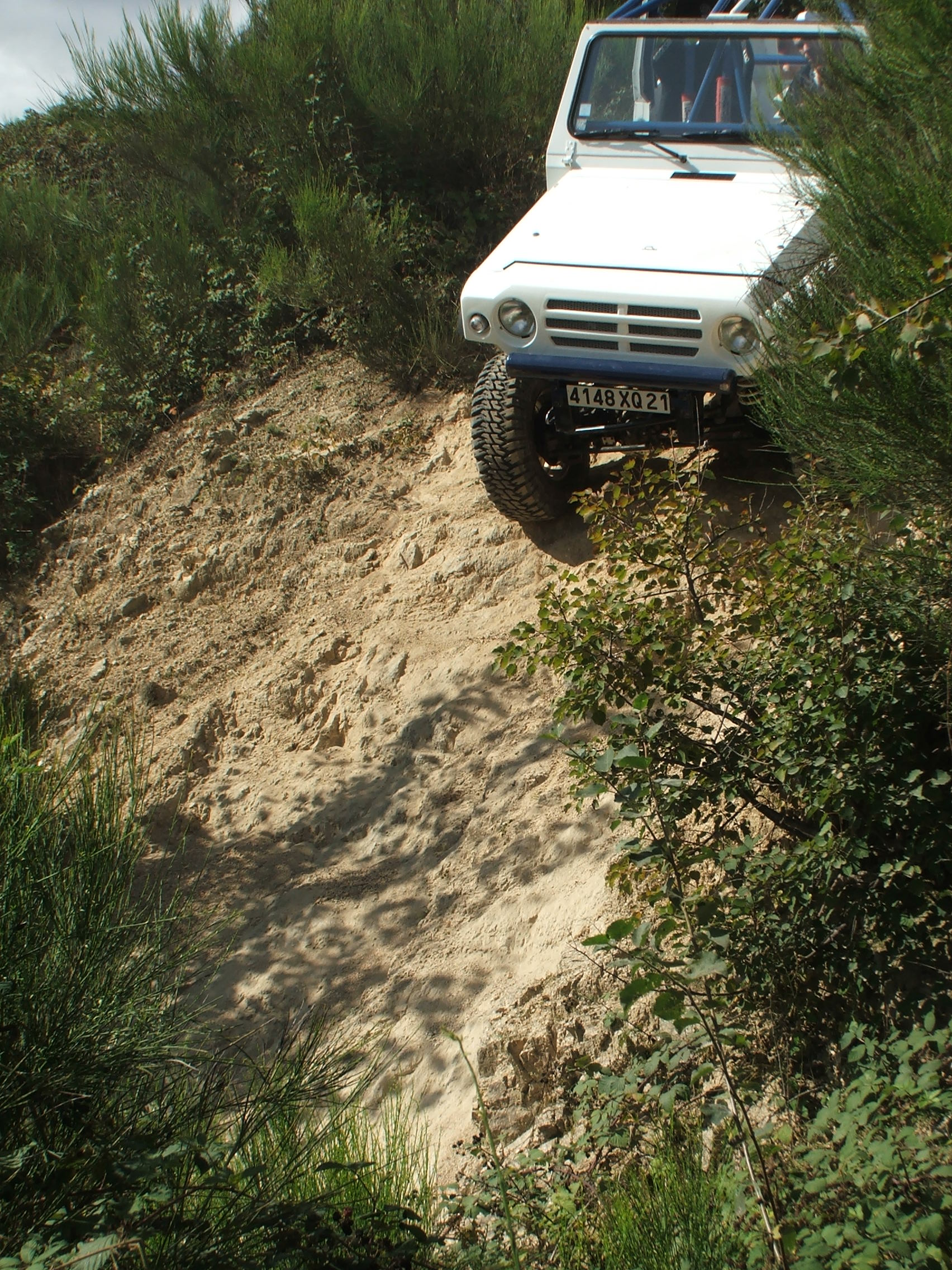 DSCF6952
