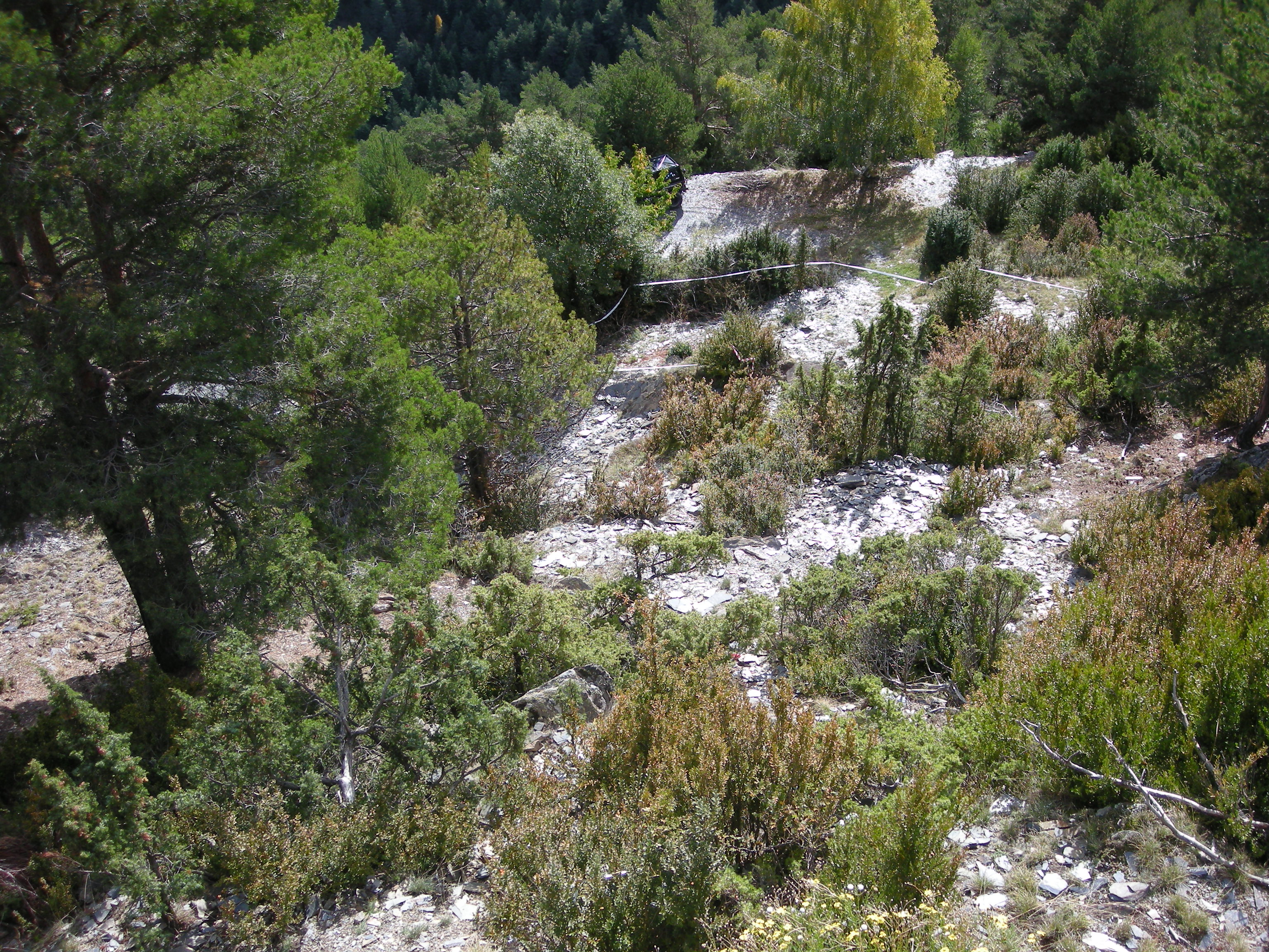 DSCN3393.JPG