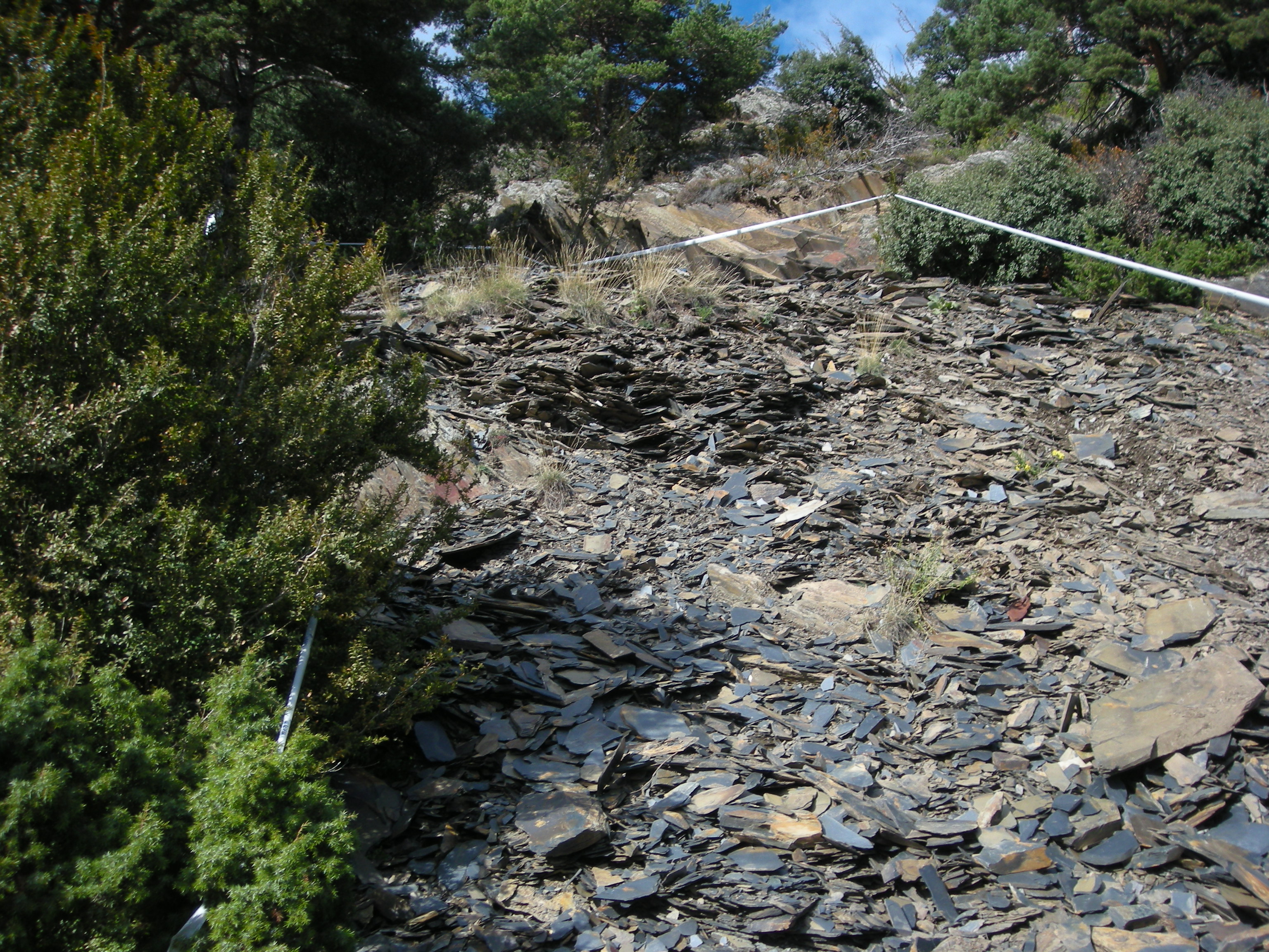 DSCN3396.JPG