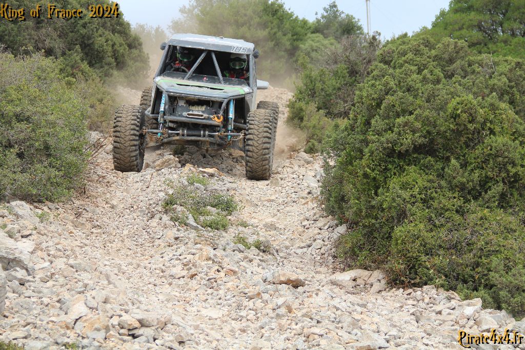 IMG_4769.jpg