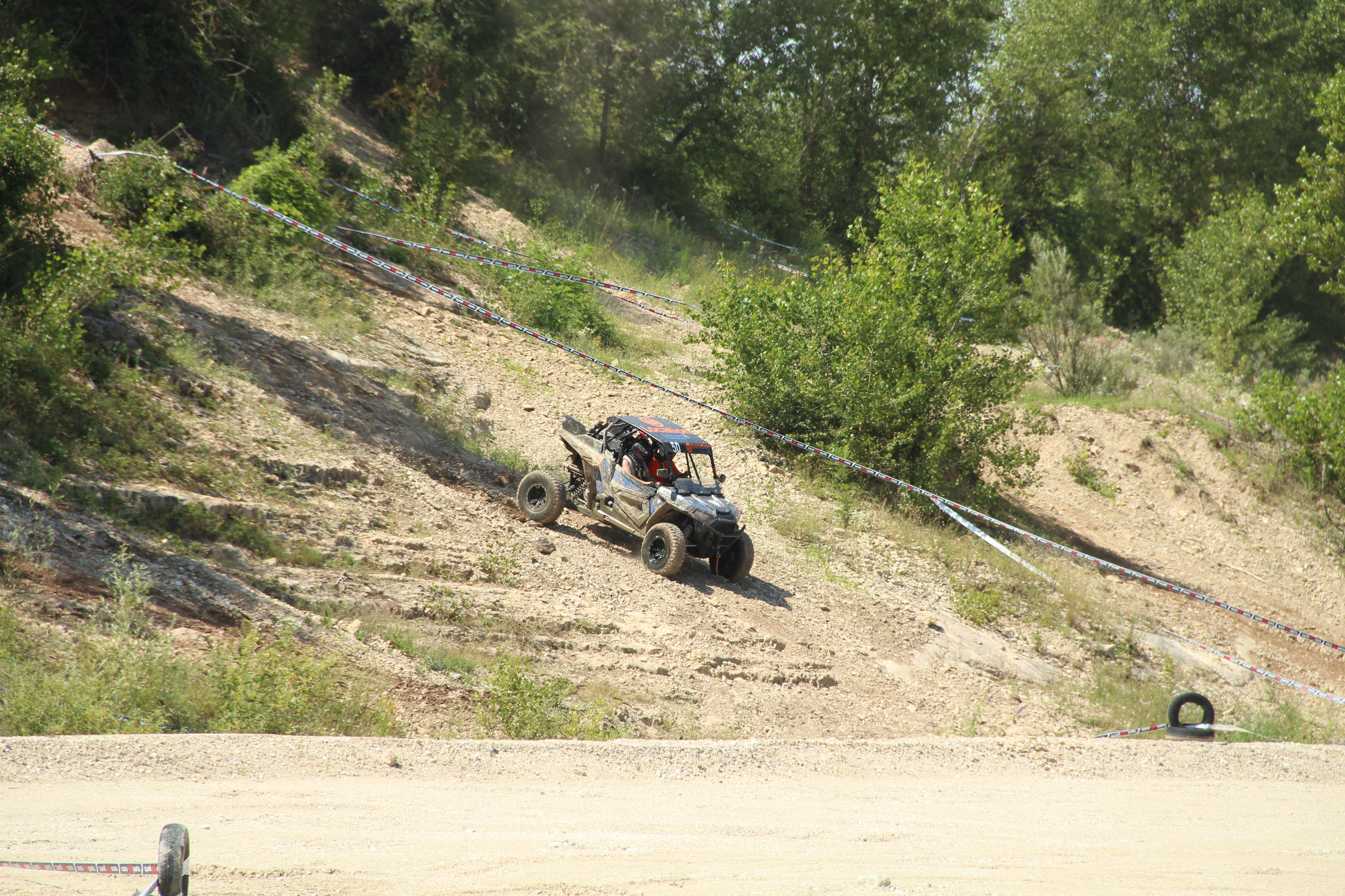 IMG_8439.JPG
